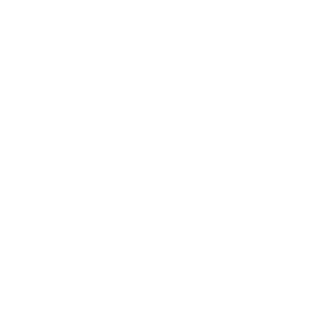 Wishmaker 500x500_white